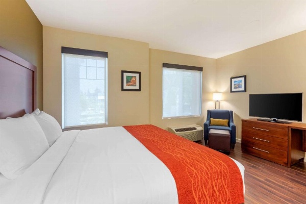 Comfort Inn & Suites Near Ontario Airport image 9